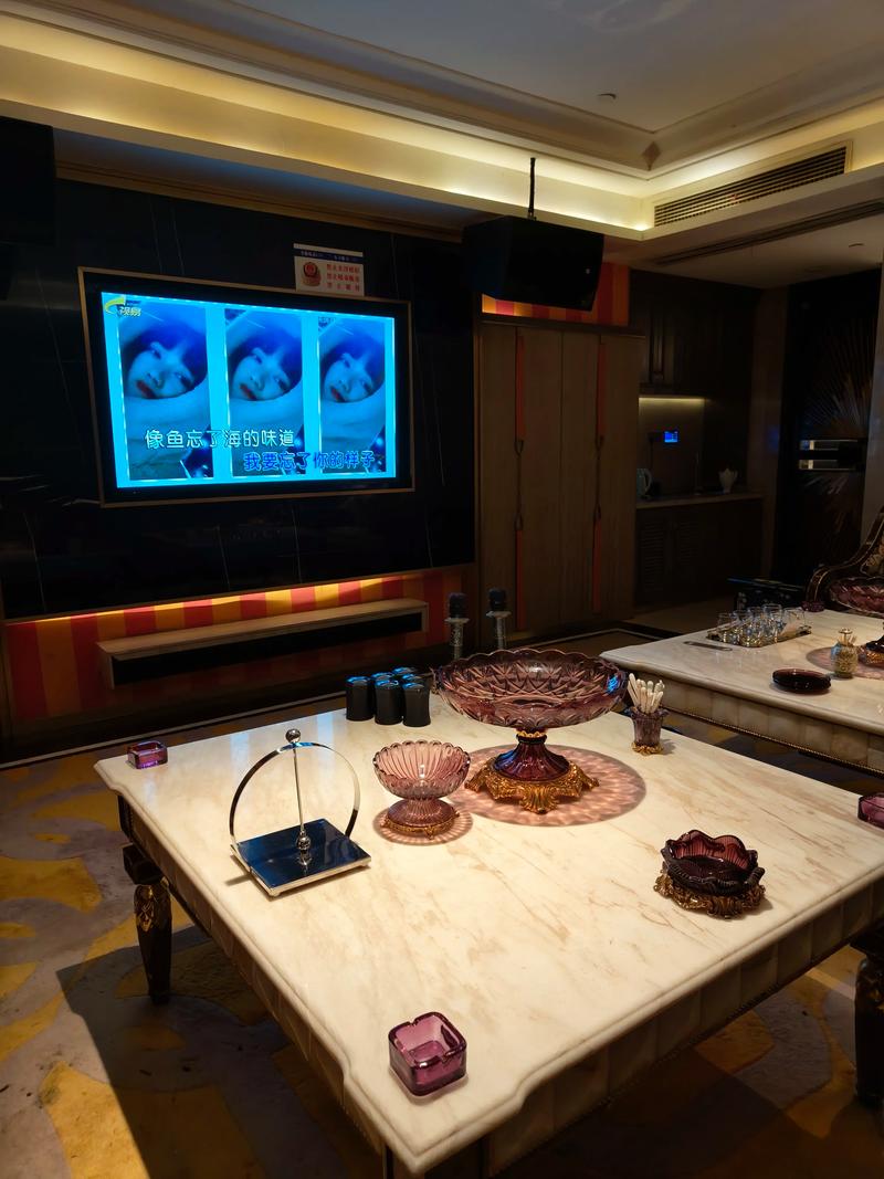 安康商务ktv最佳选择-宁陕县ktv预定